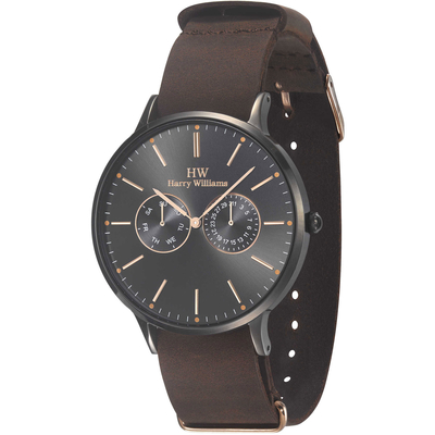 Harry Williams watch with black stainless steel and brown leather strap HW-2402J/02